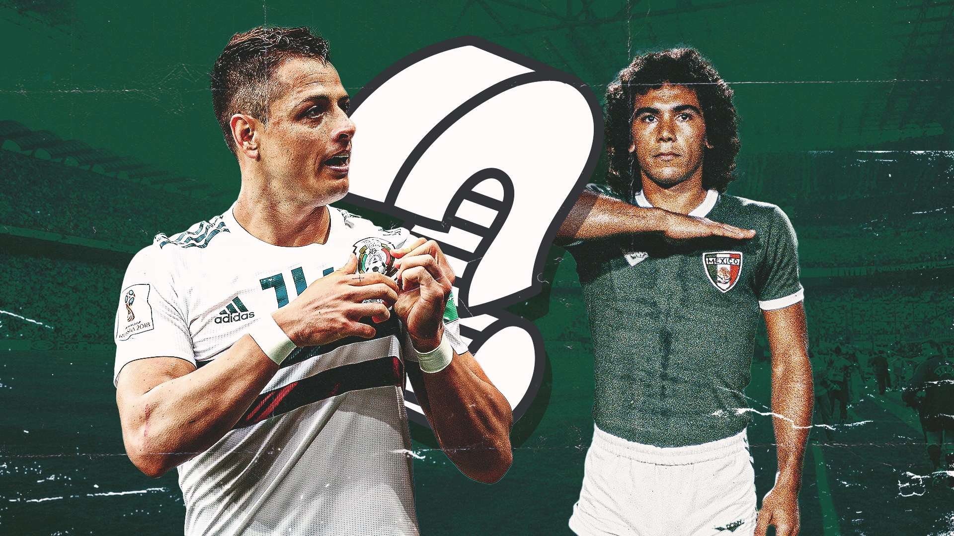 容更加多样 容更加多样